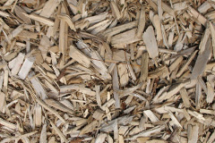 biomass boilers Scropton